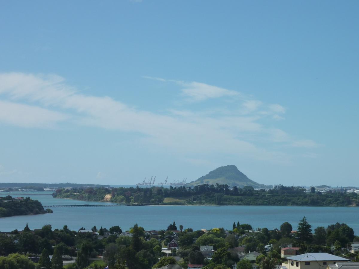 Up In The Stars B&B Tauranga Exterior foto